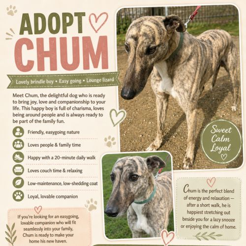 Chum