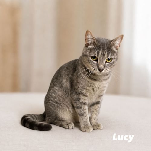 Lucy