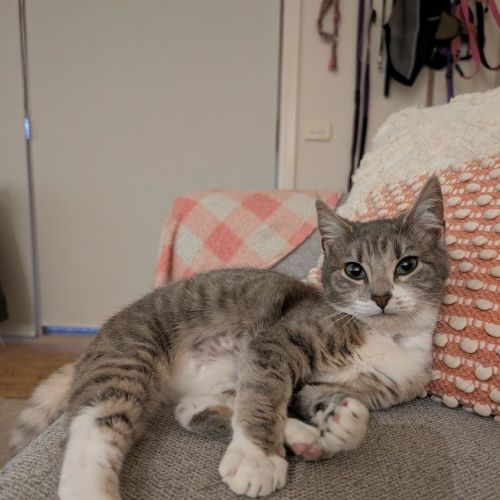 Leeloo