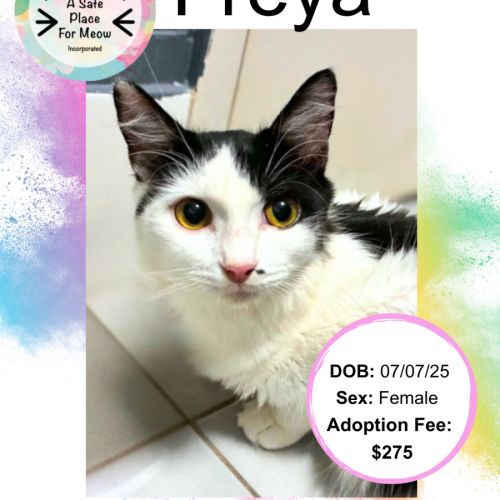 Freya
