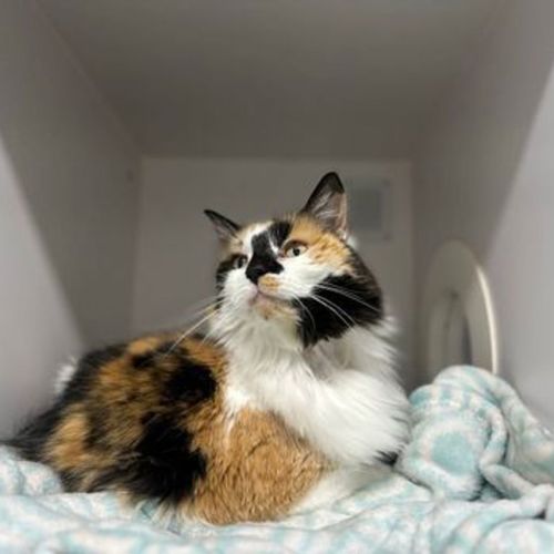 Matilda