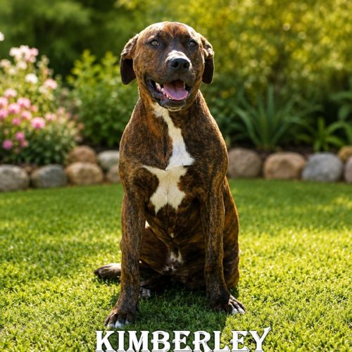 Kimberley