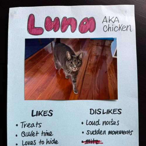 Chicken