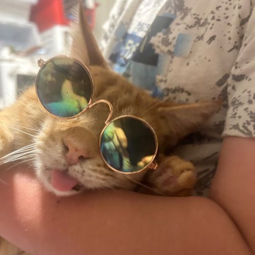 Marmalade
