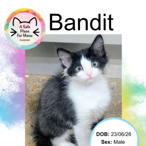 Bandit