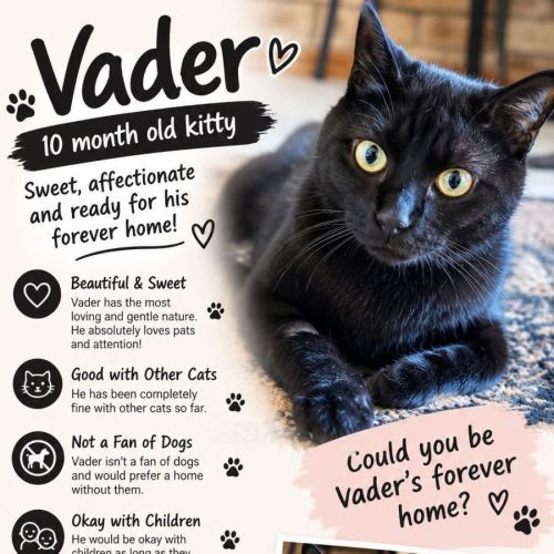 Vader