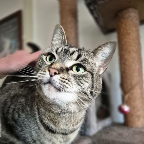 Marley