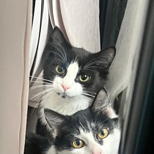 Scotty & Rosie