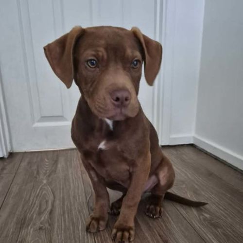 Murphy