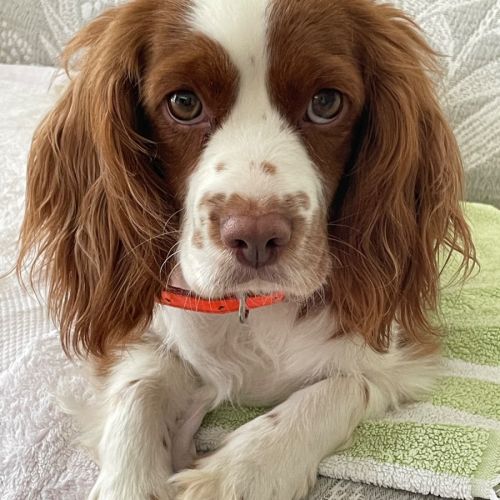 Beautiful Bindi 