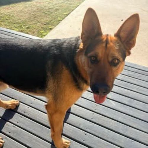 Hugo