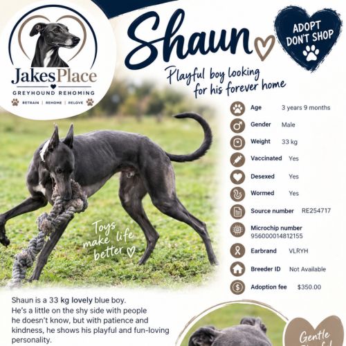 Shaun