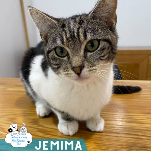 Jemima