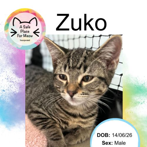 Zuko