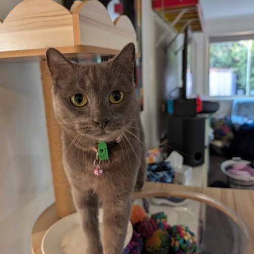 Luna