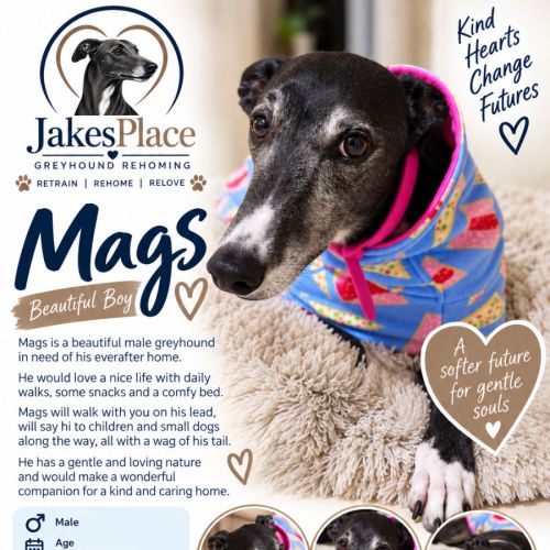 Mags