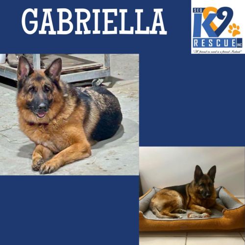 Gabriella