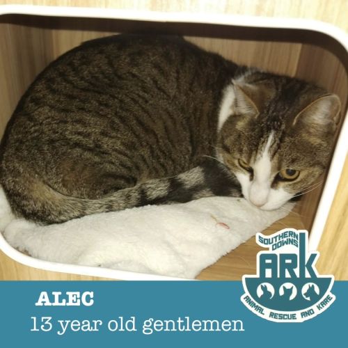 Alec