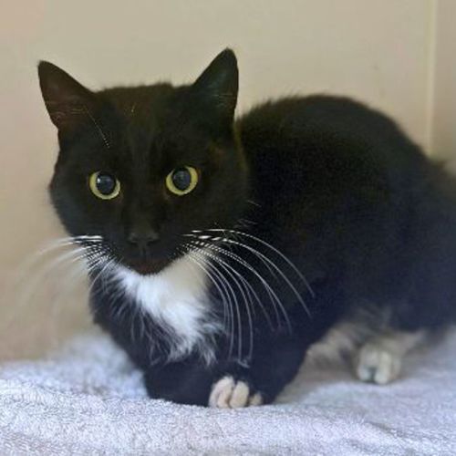 Mrs Toast