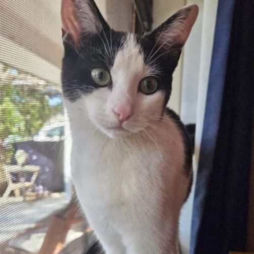Maggie