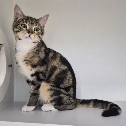 Kelly( Bonded To Kath)