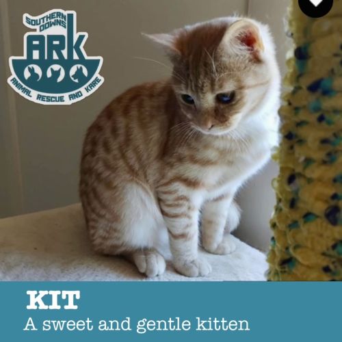 Kit