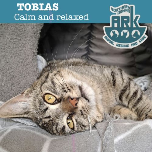 Tobias