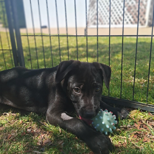 Bruce