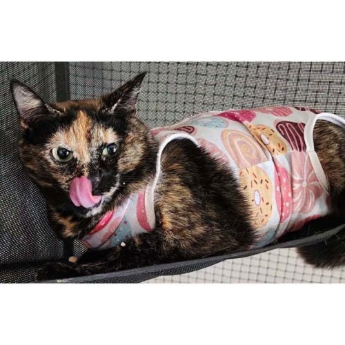14420 - Patches