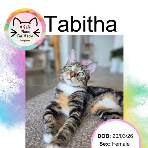 No photo for Tabitha