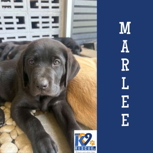 Marlee