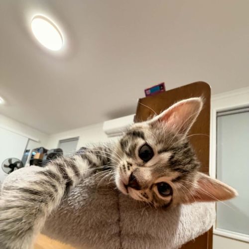 Marty