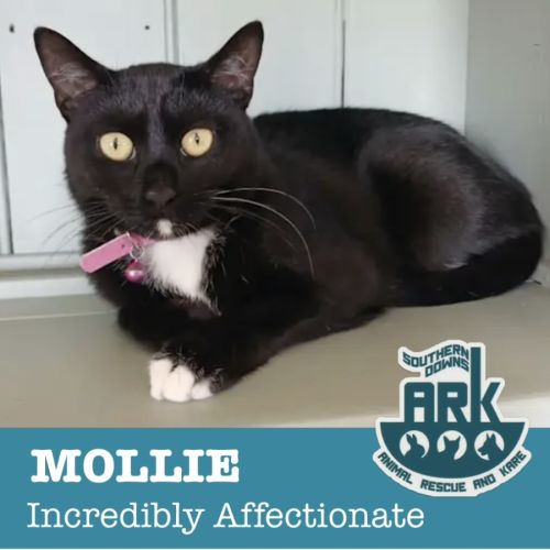 Mollie