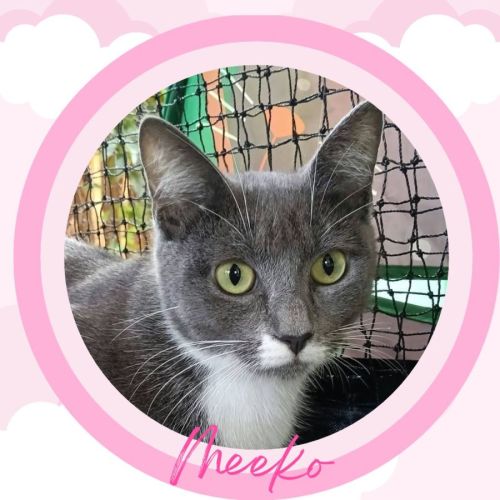 Meeko