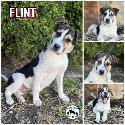 Flint