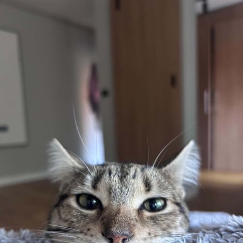 Winnie