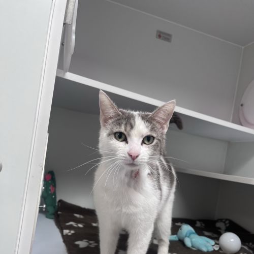 Matilda