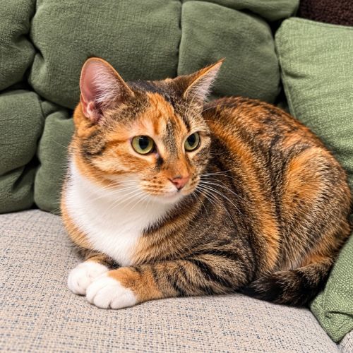 Karen