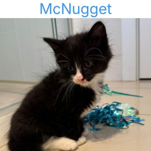 McNugget