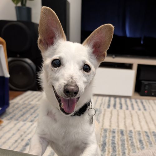 Max