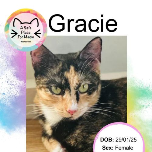 Gracie