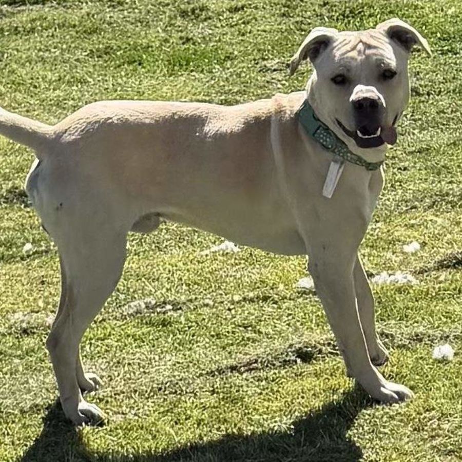 Photo of Astro