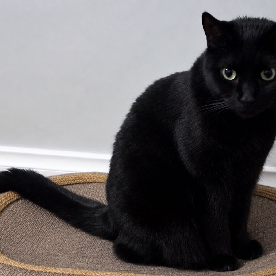 Photo of Charlie