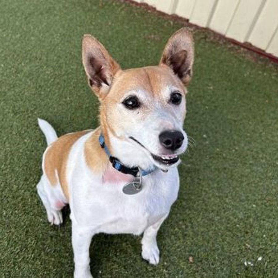 Photo of Billy
