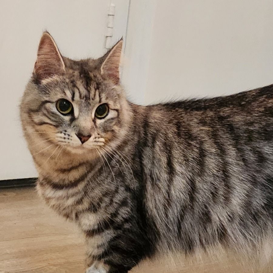 Photo of Sylvia