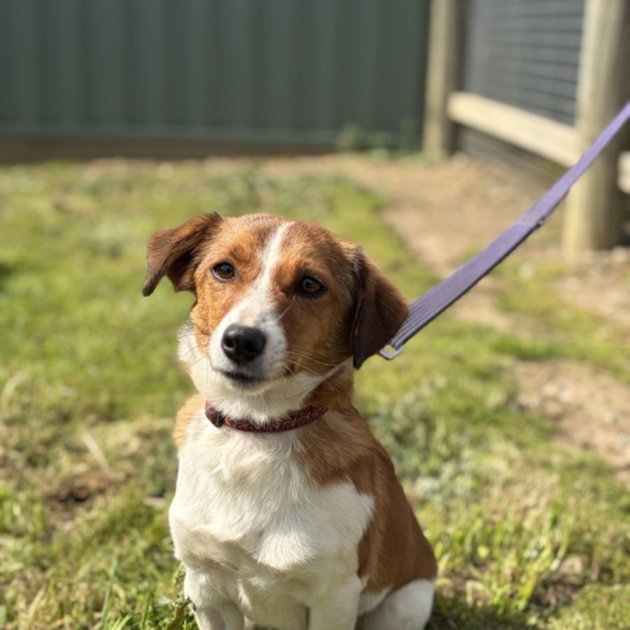 Photo of Ernie