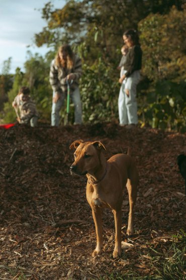 Sarah - Adoption Story