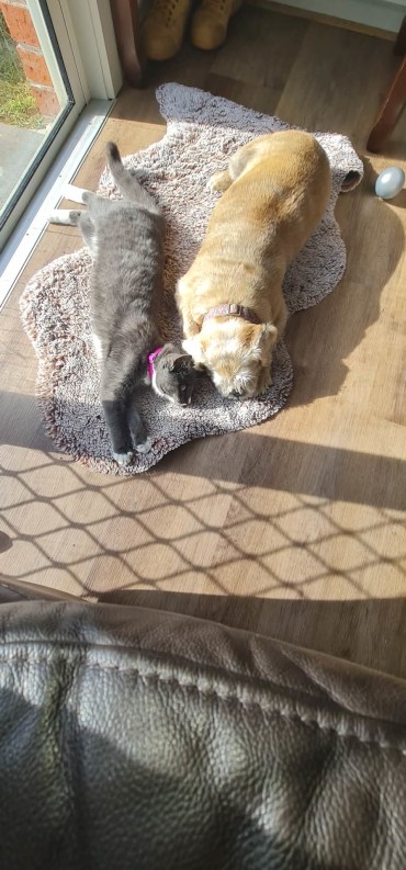 Avery  - Adoption Story