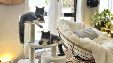 Bonnie & Bennett - Adoption Story