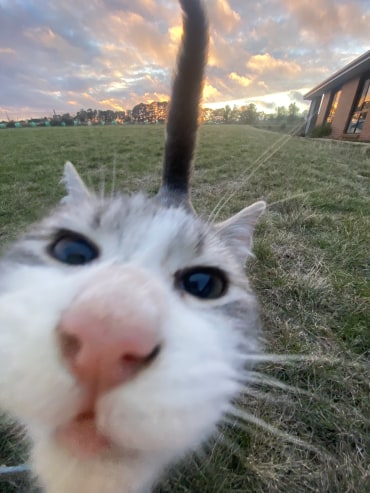Charlie - Adoption Story
